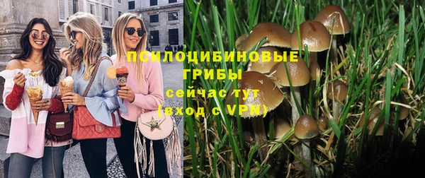 PSILOCYBIN Орехово-Зуево