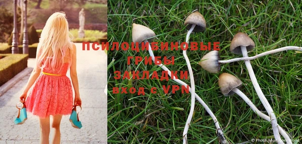 PSILOCYBIN Орехово-Зуево