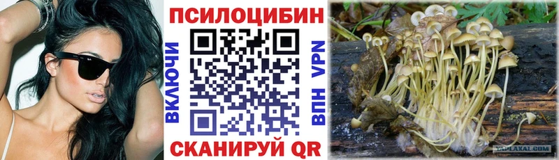 Псилоцибиновые грибы ЛСД  Ветлуга 