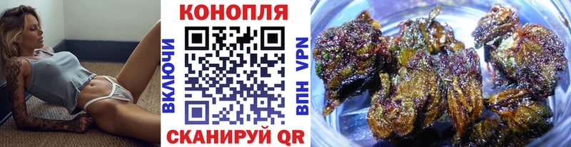 наркотики  Ветлуга  Шишки марихуана Ganja 
